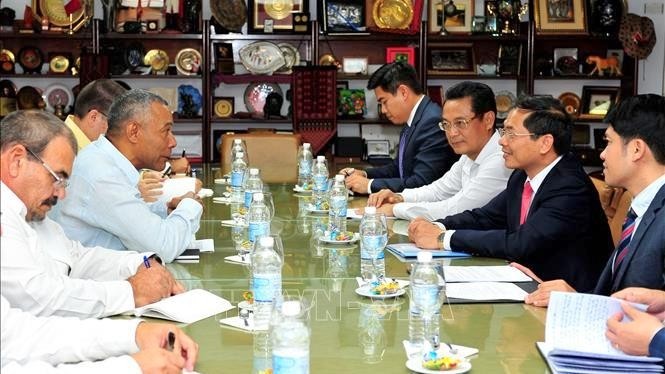Rencontre entre la délégation du Ministère vietnamien des AE et des dirigeants de la Commission des relations extérieures du Comité central du Parti communiste de Cuba. Photo : VNA.