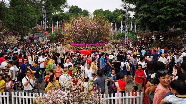 Lors du 4e Festival des fleurs de cerisier de Hanoi. Photo : VNA.
