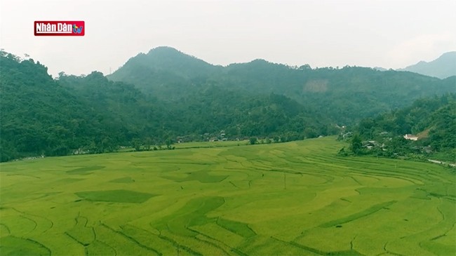 D’anciens villages Tày à Na Hang