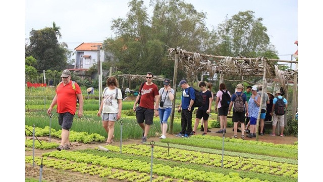 Les visiteurs au village de légumes de Trà Quê. Photo: https://bvhttdl.gov.vn/