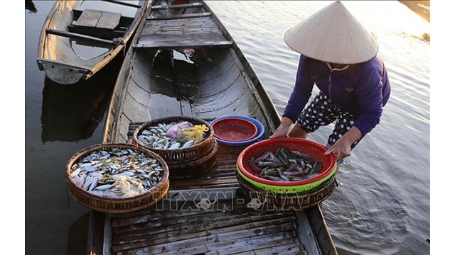 Les produits aquatiques se vendent au marché flottant Ngu My Thuân au marais de Quang Loi. Photo : VNA.