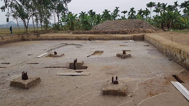 Un terrain de pieu trouvé dans la commune de Liên Khê, district de Thuy Nguyên, ville de Hai Phong (au Nord-Est). Photo : NDEL.