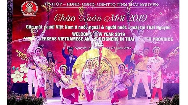 Un numéro artistique lors de la rencontre des Viêt kiêu et des étrangers à Thai Nguyên l’occasion du Têt. Photo : VNA. 