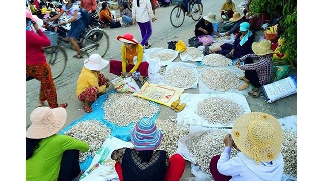 Le marché de l’ail à Ly Son. Photo : Journal Thoi Dai.