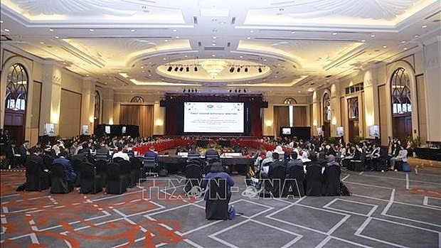 Panorama de la première réunion des hauts fonctionnaires de l'APEC 2020 (SOM 1). Photo : VNA