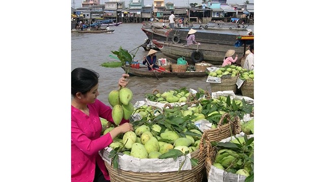 La province de Tiên Giang est surnommée « royaume des fruits » du Vietnam, avec diverses espèces de fruits. Photo : @cho_noi_cai_be.