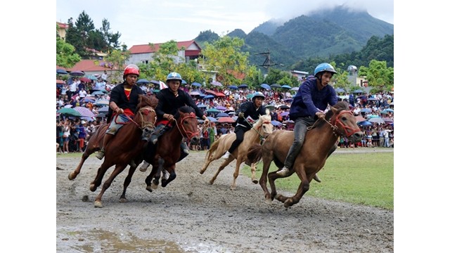 Les sportifs dans la course de chevaux lors de la finale de la course de chevaux de 2019. Photo : VNA.