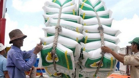 Les pays augmentent l’importation du riz pour constituer des réserves pendant la saison épidémique. Photo : thanhnien.vn.