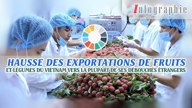 [Infographie] Hausse des exportations de fruits et légumes du Vietnam vers la plupart de ses débouchés étrangers