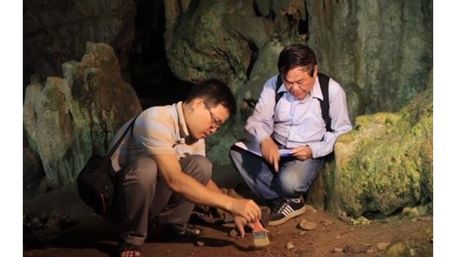 Les archéologues ont découvert 54 objets dans la grotte de Tham Khit, dont un ensemble de galets aménagés pour la découpe et des outils pour trancher. Photo: NDEL