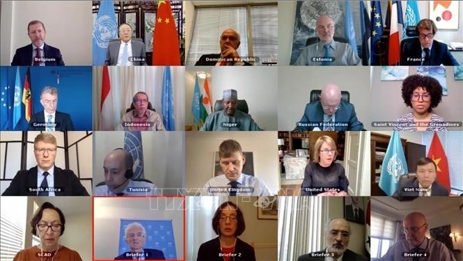 Les ambassadeurs des pays membres du Conseil de sécurité de l'ONU se réunissent lors d'une réunion en ligne. Photo : VNA.