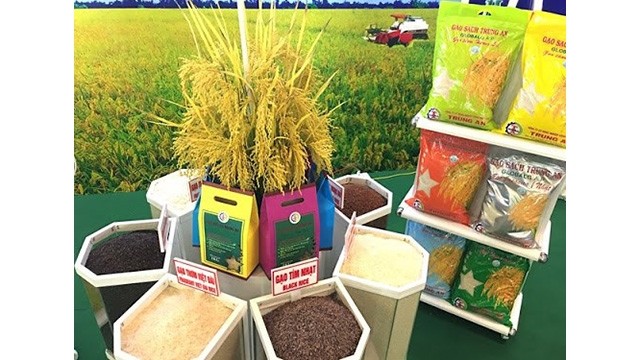 Le prix du riz au Vietnam est le plus élevé des pays exportateurs du riz, dont la Thaïlande, l'Inde, le Pakistan et la Birmanie, notamment la Thaïlande. Photo: http://tapchitaichinh.vn