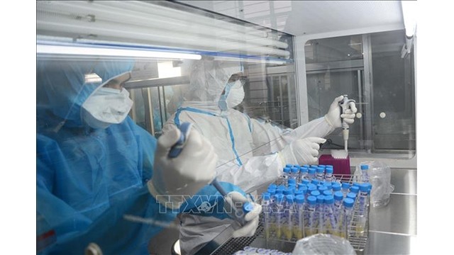 Les tests de dépistage du virus Sars-CoV-2. Photo: VNA