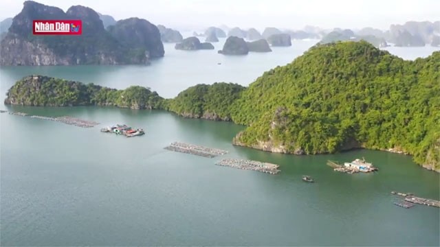Découverte du village de pêcheurs flottant de Trà Báu dans la baie de Lan Ha