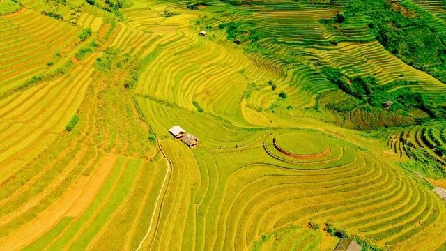 Photo: Dan Tri/baoquocte.vn