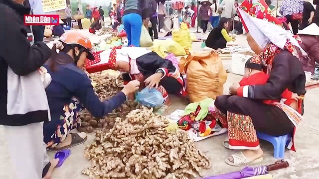 À la découverte des marchés de Binh Liêu à Quang Ninh