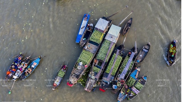 Le marché flottant de Cai Rang est l'un des points forts du tourisme de la ville de Cân Tho. Photo : VNA.