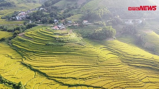 Découvrir les rizières en terrasses de Quang Ninh