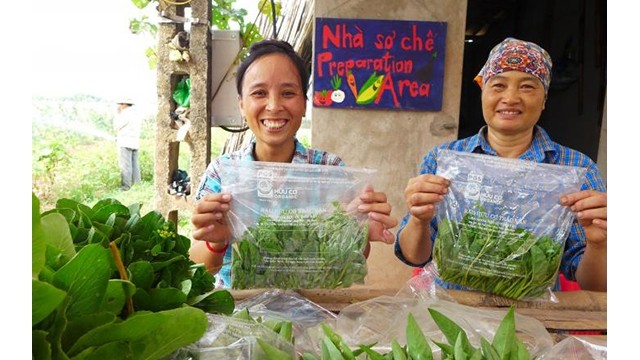L'organisation belge Rikolto aide des agriculteurs vietnamiens à améliorer leur capacité de production et de promotion des biolégumes. Photo d'illustration : Rikolto Vietnam