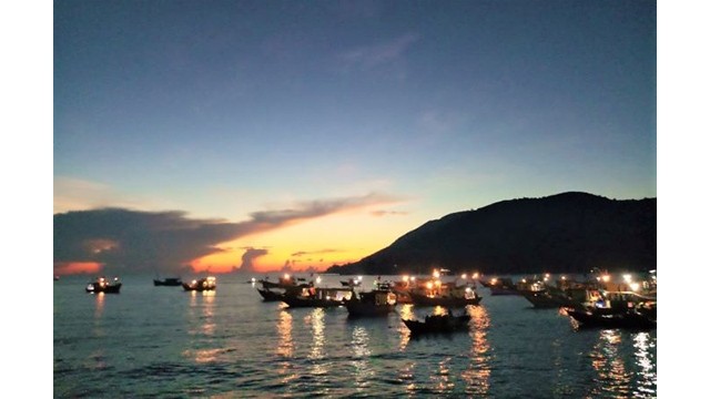 Le marché aux poissons de Côn Go commence à 3 heures du matin et se termine au lever du soleil. Photo : Huyên Thu/NDEL.