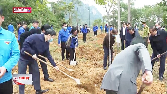 Le Vietnam atteint son objectif de planter un million d’arbres