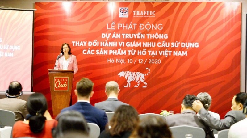 Lancement du programme de marketing social de trois ans dans le but de réduire la demande de produits issus du tigre au Vietnam. Photo : thanhnien.vn.
