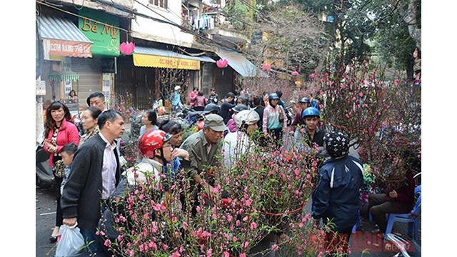 Le marché aux fleurs  de la rue de Hàng Luoc. Photo : NDEL.
