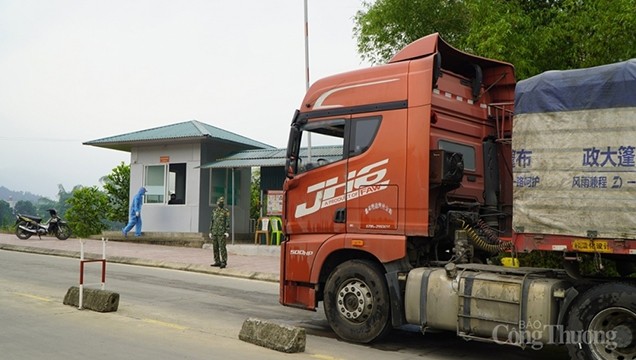 La filiale des douanes de Quang Ninh a assuré le dédouanement de marchandises pour les entreprises pendant des premiers jours du Têt traditionnel. Photo : Journal Công Thuong.