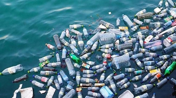 La pollution plastique du milieu marin cause les conséquences néfastes sur la vie marine et la santé humaine. Photo : baohagiang.vn.