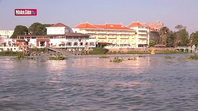 Confluent de la rivière Châu Đốc
