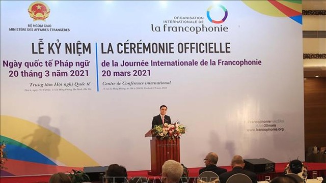 Dang Hoàng Giang, vice-ministre des Affaires étrangères du Vietnam, prend la parole. Photo: VNA
