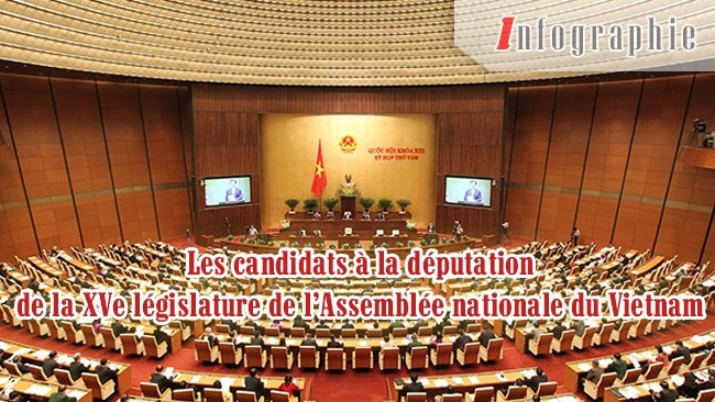 [Infographie] Les candidats à la députation de la XVe législature de l’AN du Vietnam