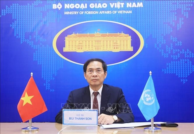 Le ministre vietnamien des Affaires étrangères Bui Thanh Son. Photo : VNA.