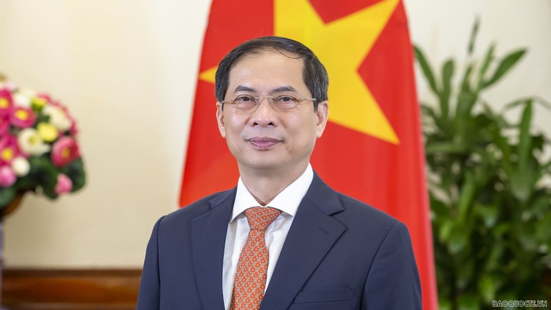 Le ministre des Affaires étrangères, Bui Thanh Son. Photo : Baoquocte.vn.