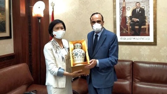 L’ambassadrice du Vietnam au Maroc, Dang Thi Thu Ha, rend une visite de courtoisie au président de la Chambre des représentants du Maroc, Habib El Malki. Photo : baoquocte.vn