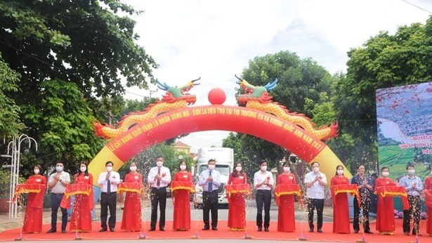 L'évènement marquant l'exportation d'un lot de longane du district de Song Ma vers les marchés de l'UE et du Royaume-Uni. Photo : VNA.