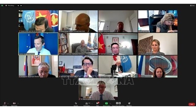 Les représentants de plus de 120 pays ont participé le 21 juillet à la réunion virtuelle du Groupe des amis de la CNUDM. Photo : VNA.