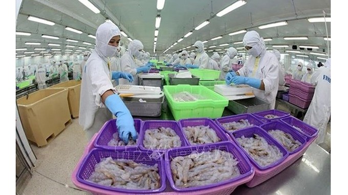 Les principaux marchés de crevettes vietnamiennes ont augmenté leurs importations. Photo : VNA.