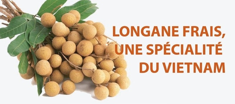 Longane frais, une spécialité du Vietnam