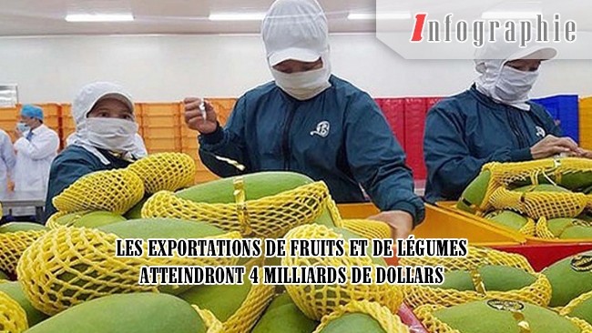 [Infographie] Les exportations de fruits et de légumes atteindront 4 milliards de dollars