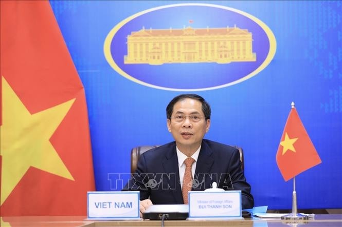 Le ministre vietnamien des AE, Bùi Thanh Son. Photo : VNA.