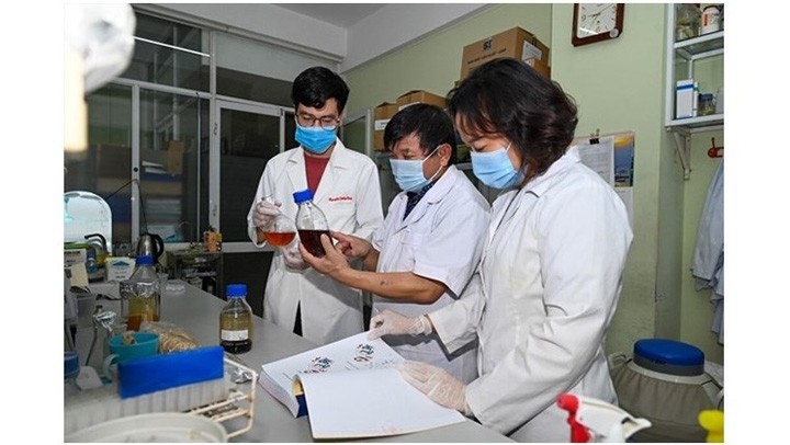 Le professeur associé-Docteur Lê Quang Huân, chef du projet, et ses collègues travaillent pour mettre au point le médicament Vipdervir. Photo : NVCC.