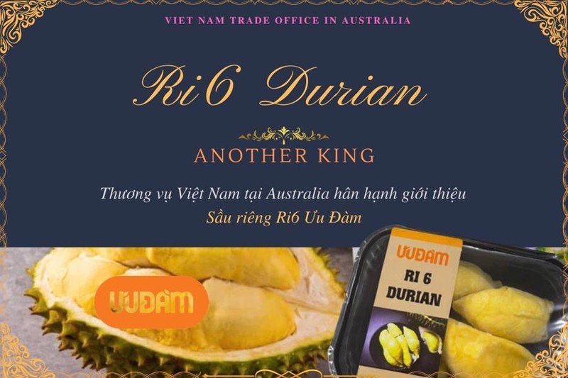 Le durian Ri6 vietnamien arrive en Australie
