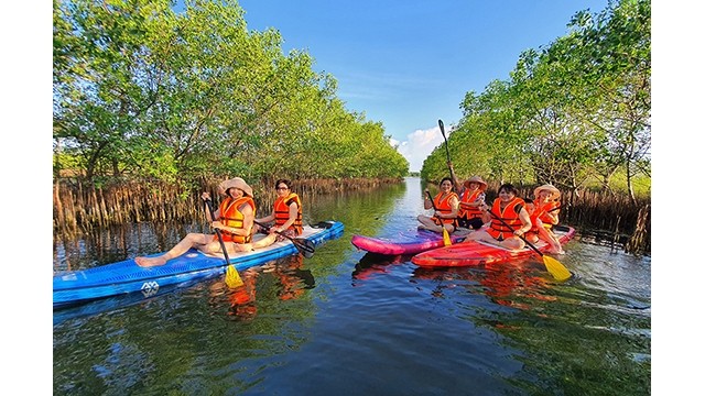Les touristes visitent la forêt de mangrove au lagon de Tam Giang, Thua Thiên Huê. Photo : VNA.