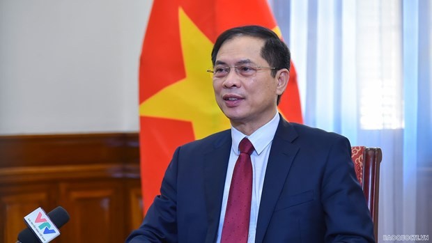 Le ministre des Affaires étrangères, Bùi Thanh Son. Photo : baoquocte.vn