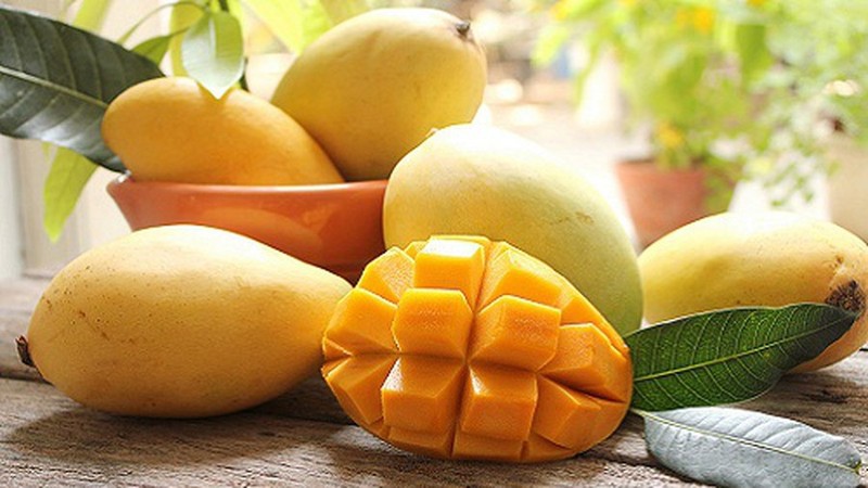 La mangue est l'un des principaux fruits tropicaux cultivés au Vietnam, juste après la banane. Photo : Bizmedia.
