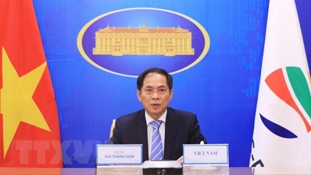 Le ministre vietnamien des Affaires étrangères, Bùi Thanh Son.  Photo : VNA.