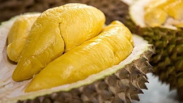 Le durian vietnamien. Photo: VNA