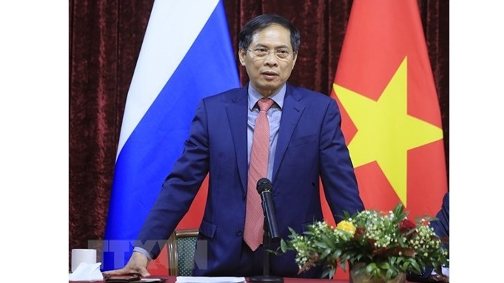 Le ministre des Affaires étrangères Bui Thanh Son.  Photo : VNA