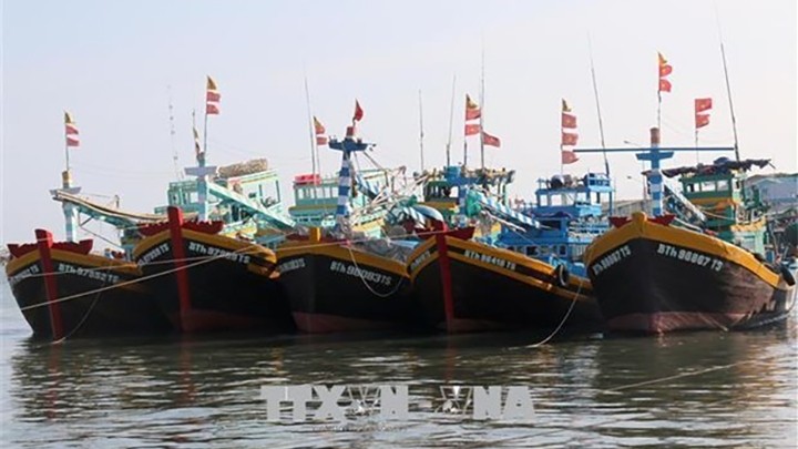 Des navires de pêche. Photo : VNA